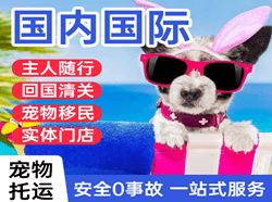 武夷山航空运输国际宠物托运 【国